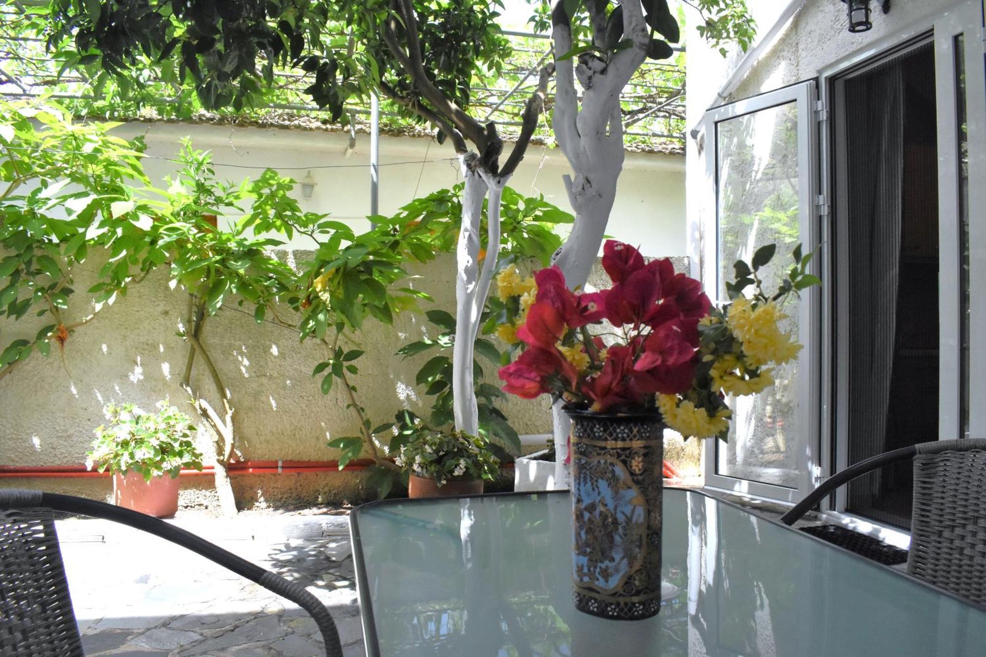 Starvillas Apartments And Studios Αγία Ευφημία Εξωτερικό φωτογραφία